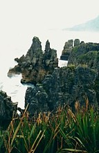 Punakaiki - Pancake Rocks -  � Christorpher Waldvogle